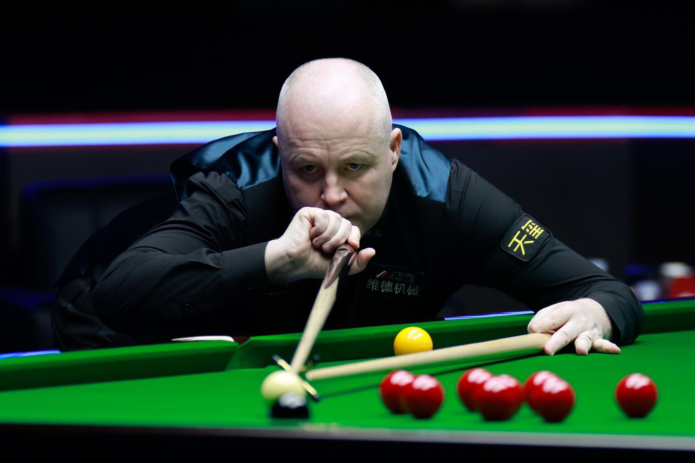 他们也十分 他们也十分