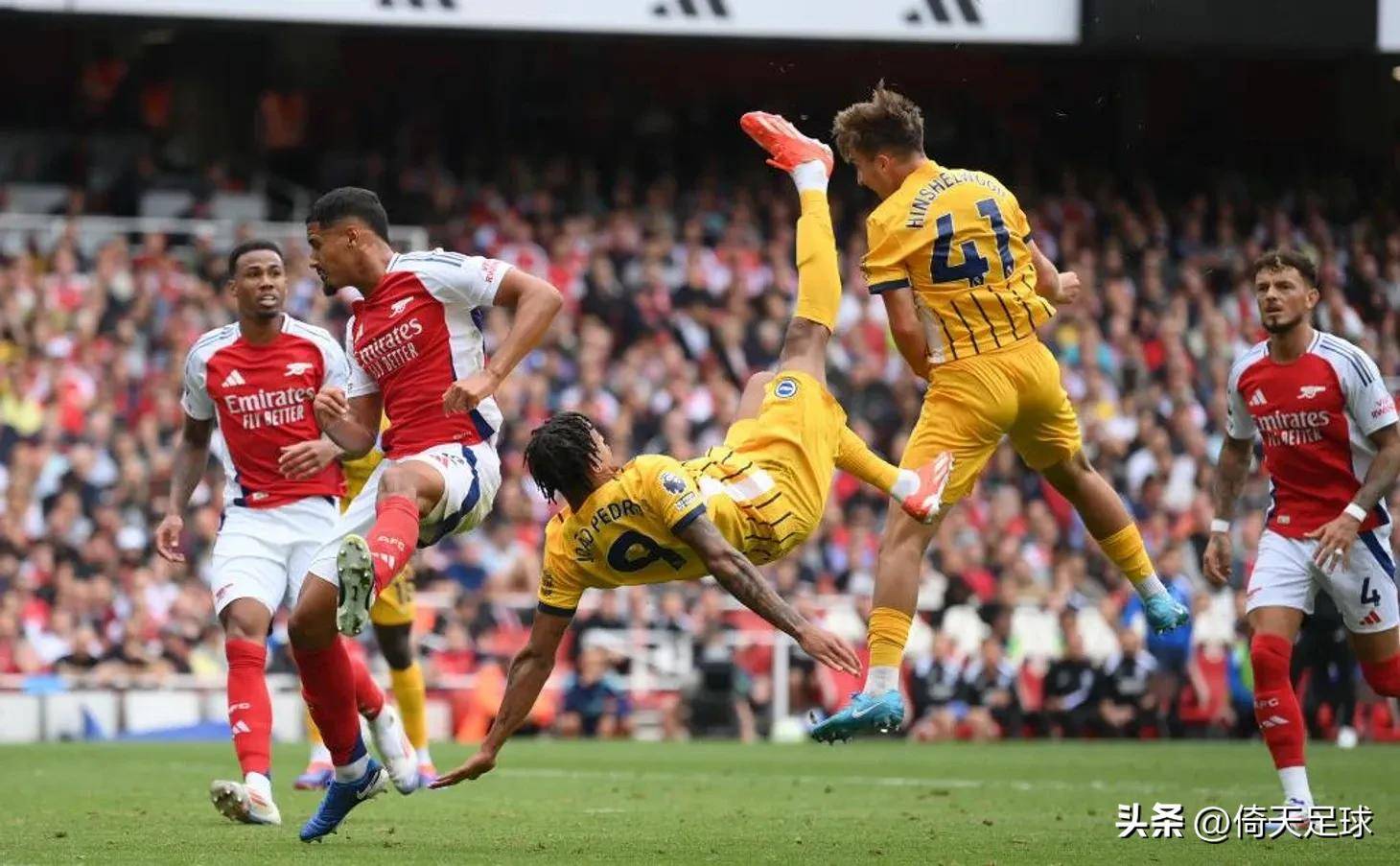 并非体育性 并非体育性